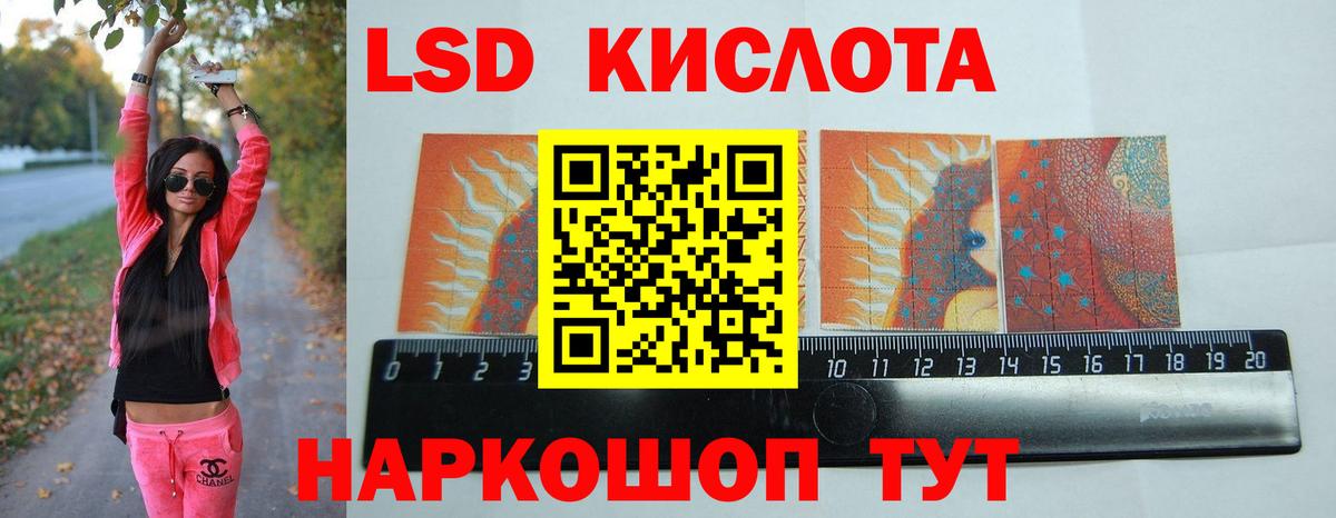 Сегежа  Лсд 25 экстази ecstasy  Лсд 25 экстази  Лсд 25 экстази кислота  Вход с VPN 