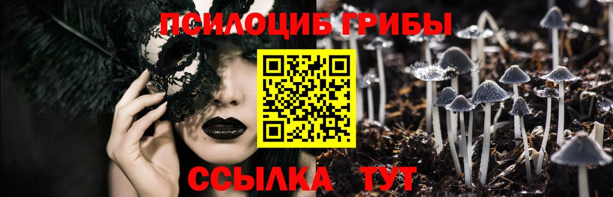 Псилоцибиновые грибы мухоморы  Вход с VPN  Галлюциногенные грибы мицелий  Сегежа 